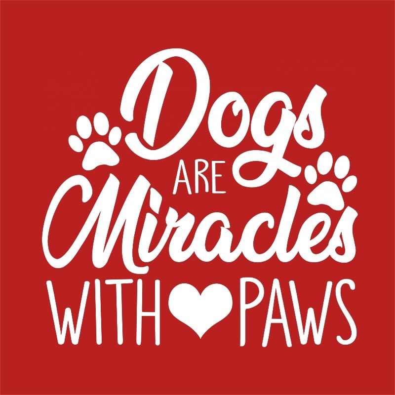 Dogs are miracles