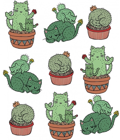 Kitty cactus Cicás Pólók, Pulóverek, Bögrék - Cicás