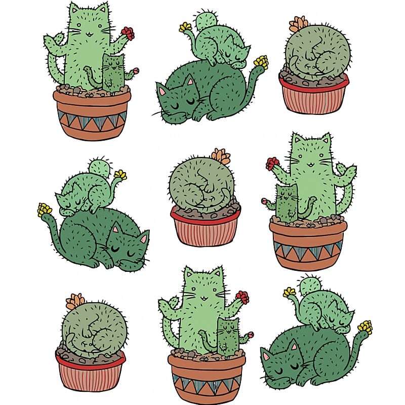 Kitty cactus