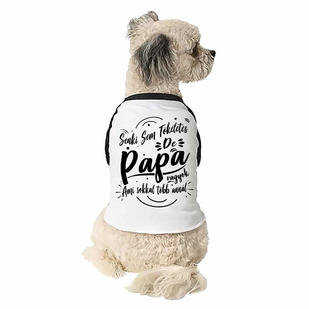 Senki sem tökéletes de Papa vagyok Kutyapóló