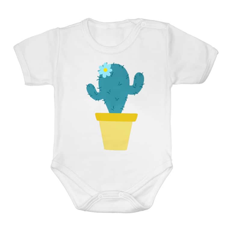 Lil Cactus