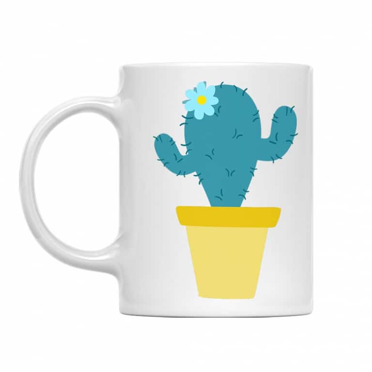 Lil Cactus