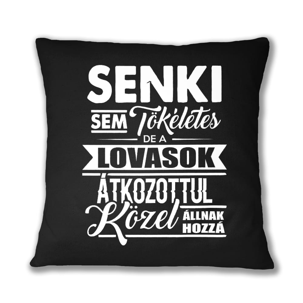 Senki sem tökéletes - lovasok Párnahuzat