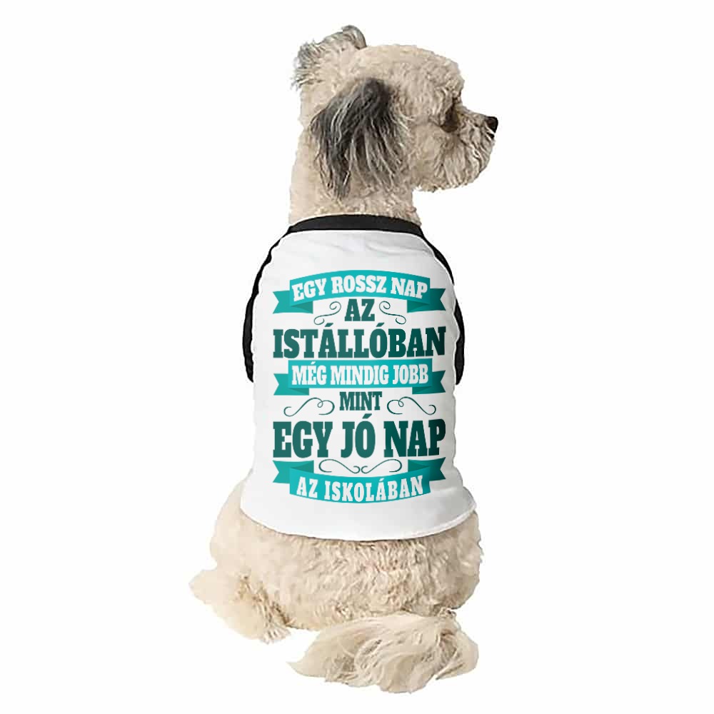 Rossz nap az istállóban vs jó nap az iskolában Kutyapóló
