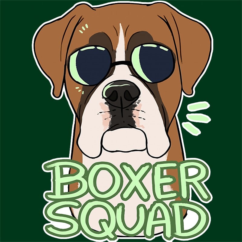 Boxer squad