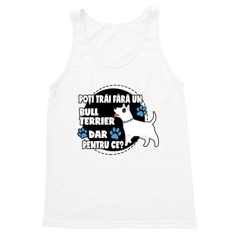 Fără Bull Terrier