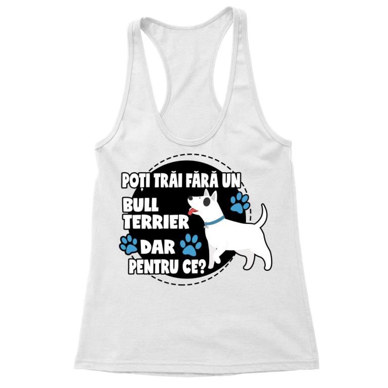 Fără Bull Terrier