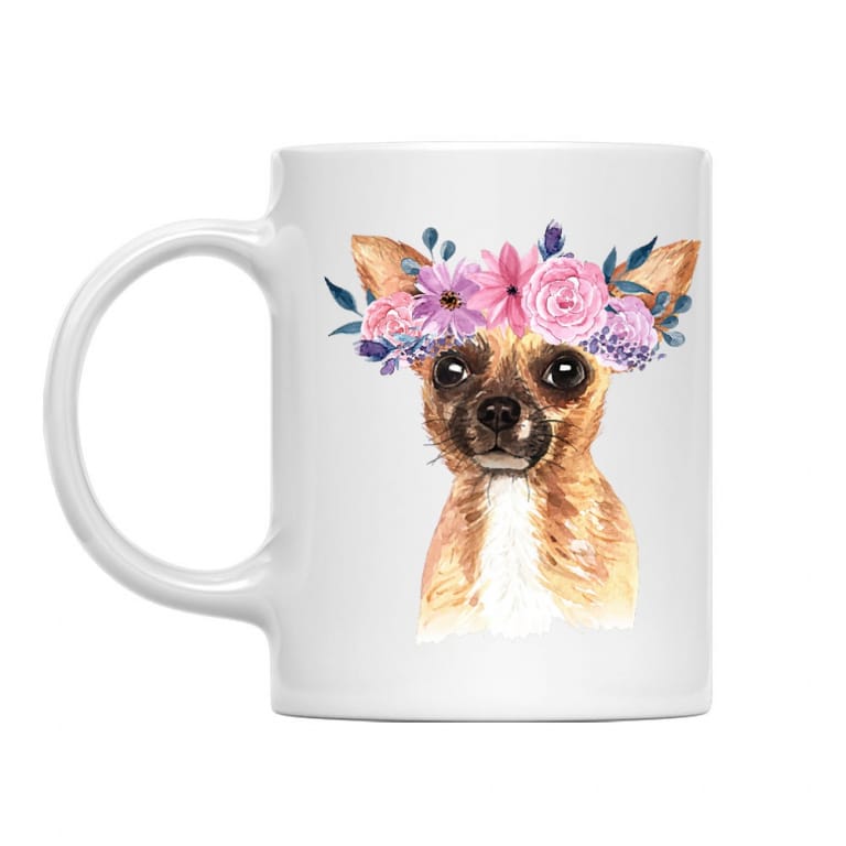Beauty Chihuahua