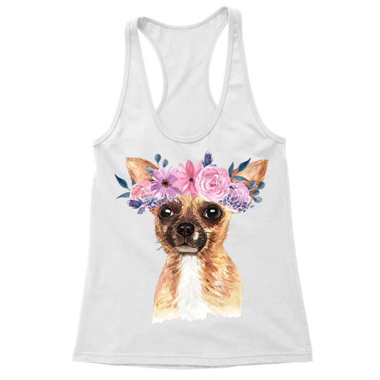 Beauty Chihuahua