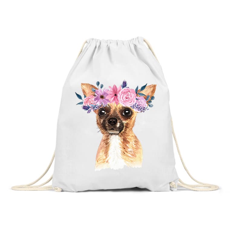 Beauty Chihuahua