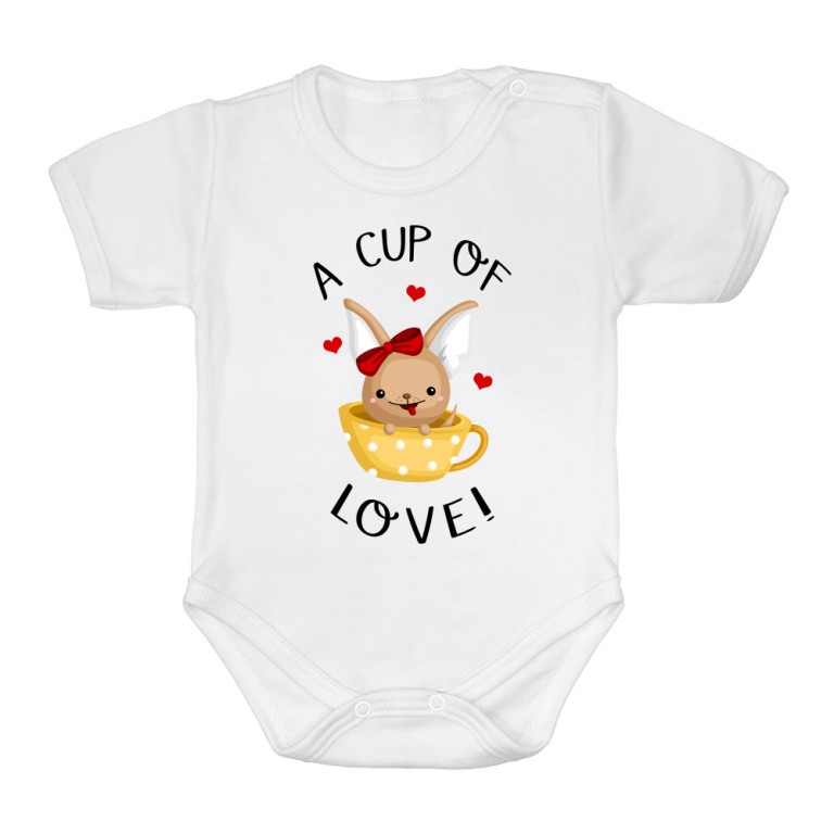 A cup of love - chihuahua