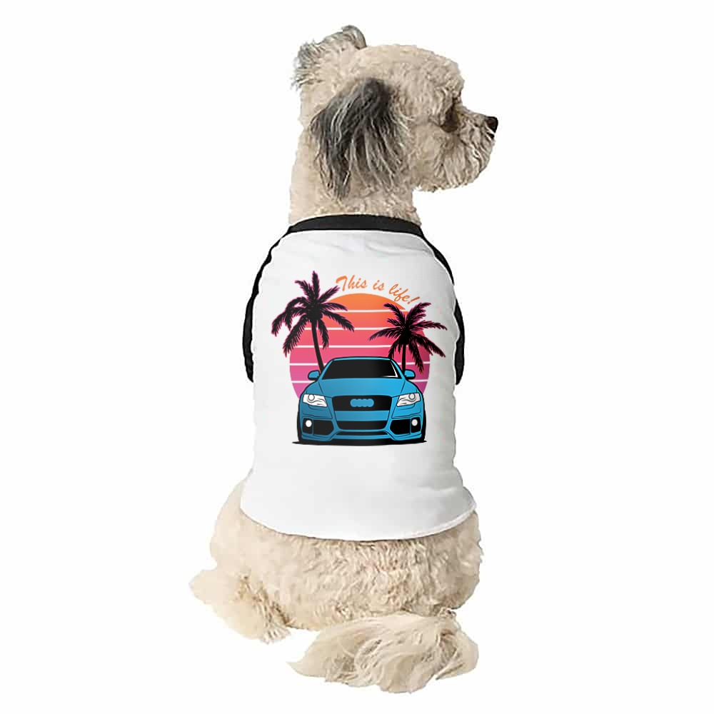 Vice City - Audi A4 Kutyapóló