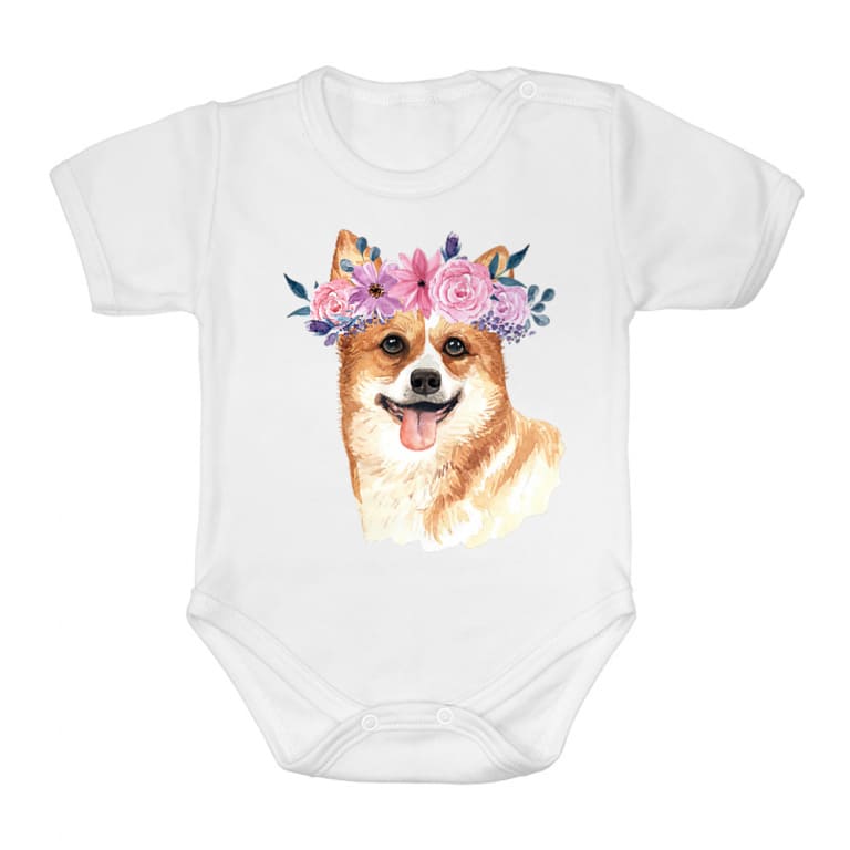 Beauty Corgi