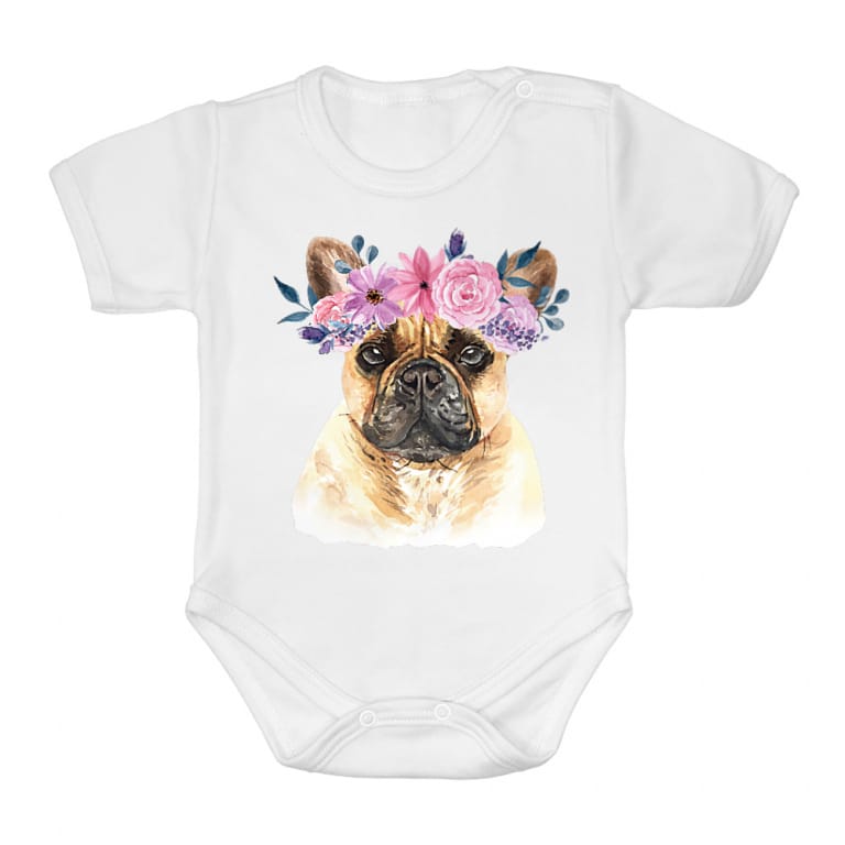Beauty frenchie