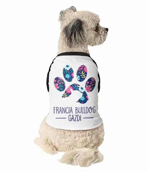 Francia bulldog gazdi Francia Bulldog Állatoknak - Kutyás
