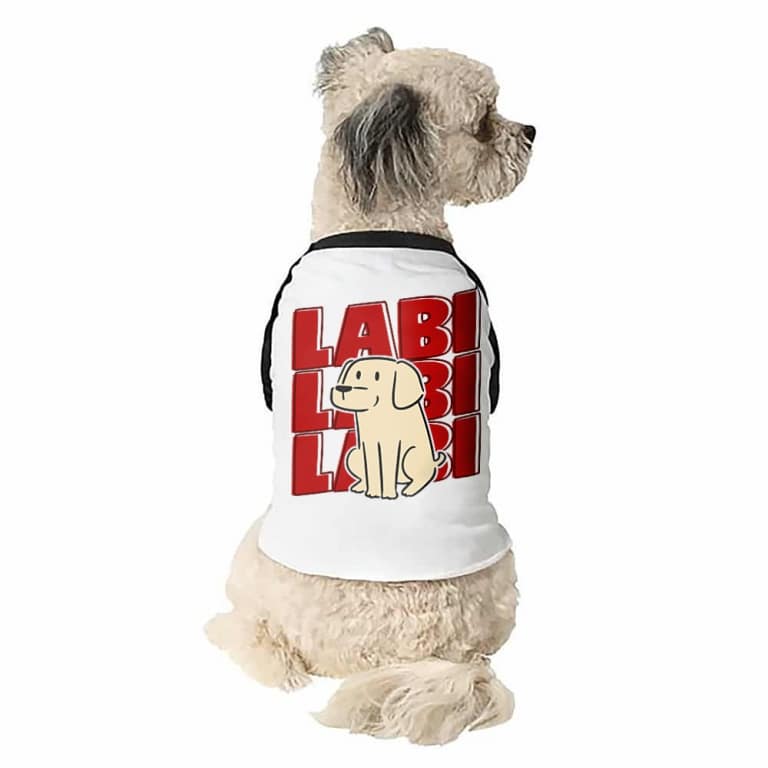 Labi labi labi