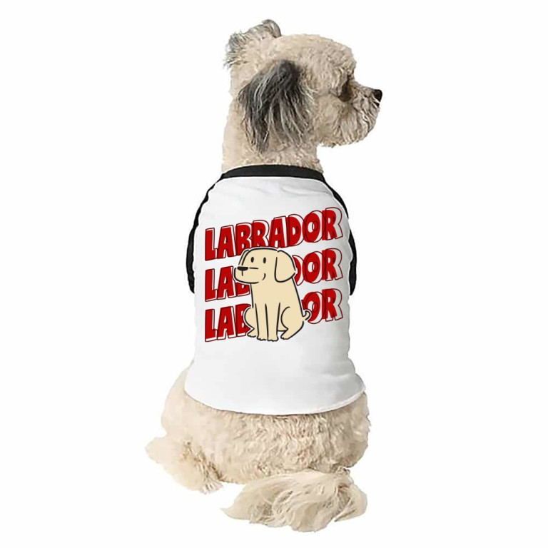 Labrador, Labrador, Labrador