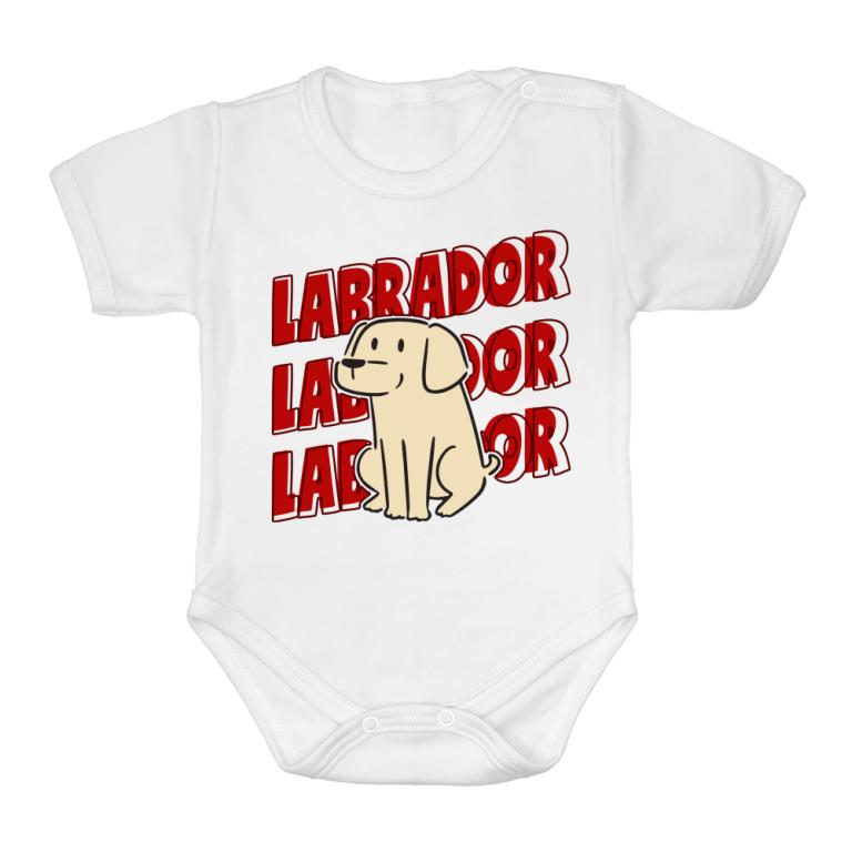 Labrador labrador labrador