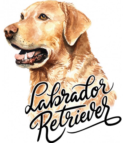 Labrador head Labrador Retriever Pólók, Pulóverek, Bögrék - Labrador Retriever