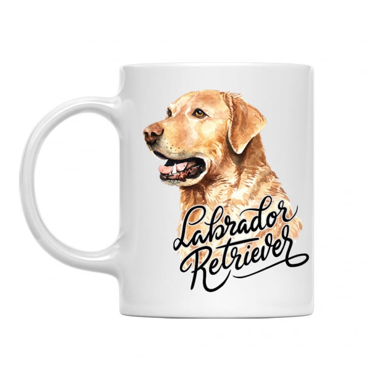 Labrador head