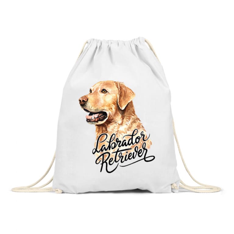 Labrador head