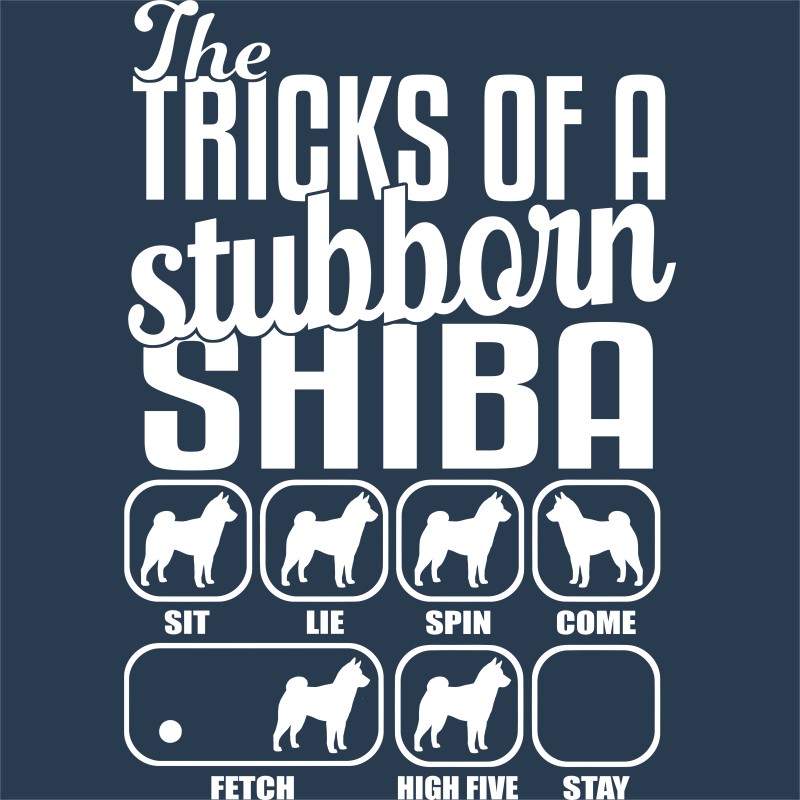 Stubborn shiba