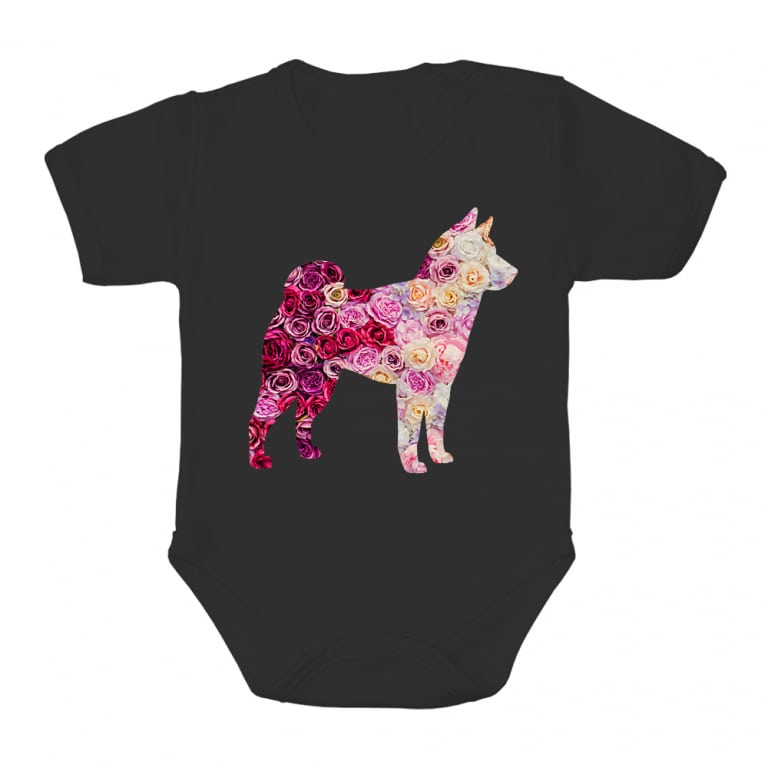 Shiba rose