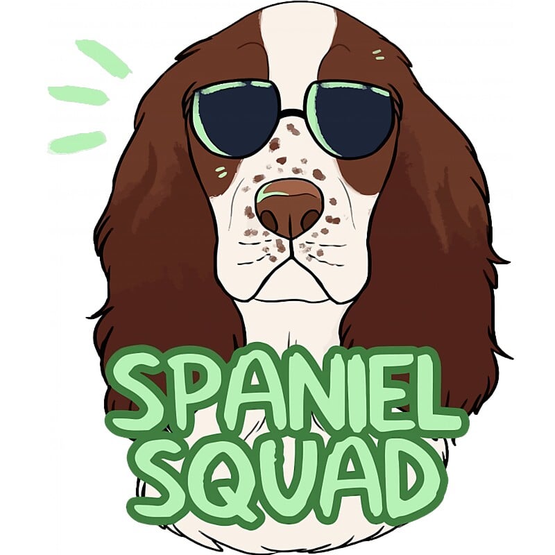 Spaniel squad