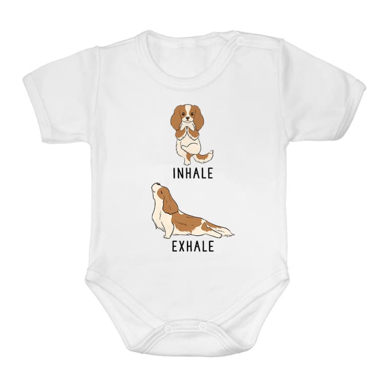 Spaniel yoga