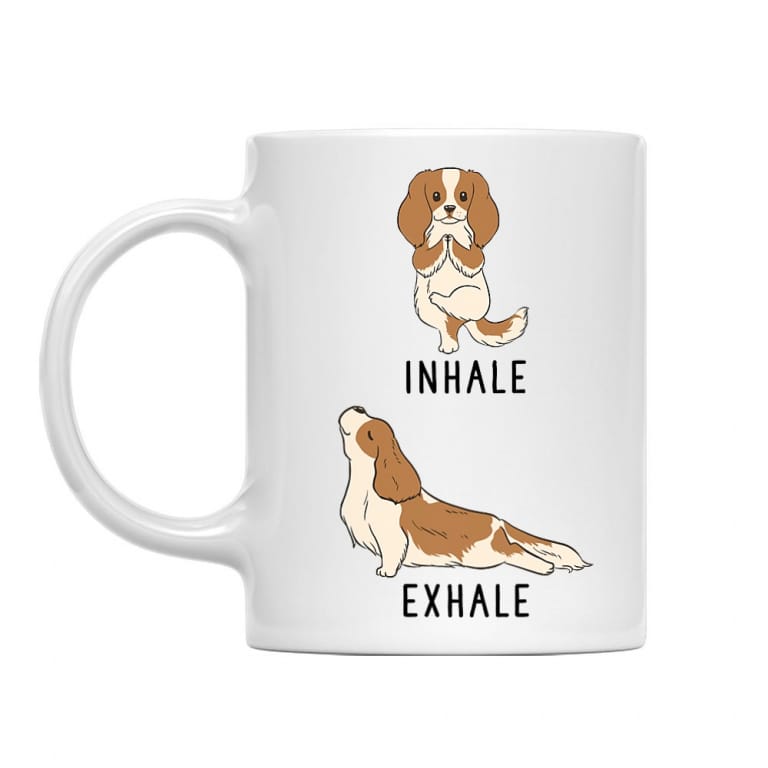 Spaniel yoga