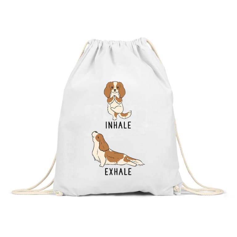 Spaniel yoga