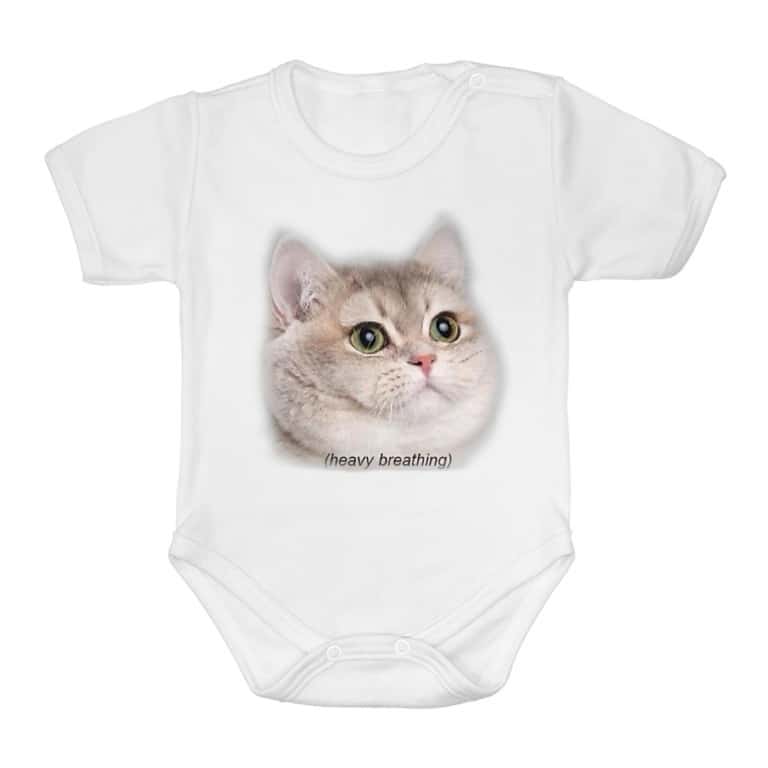 Heavy Breathing Cat