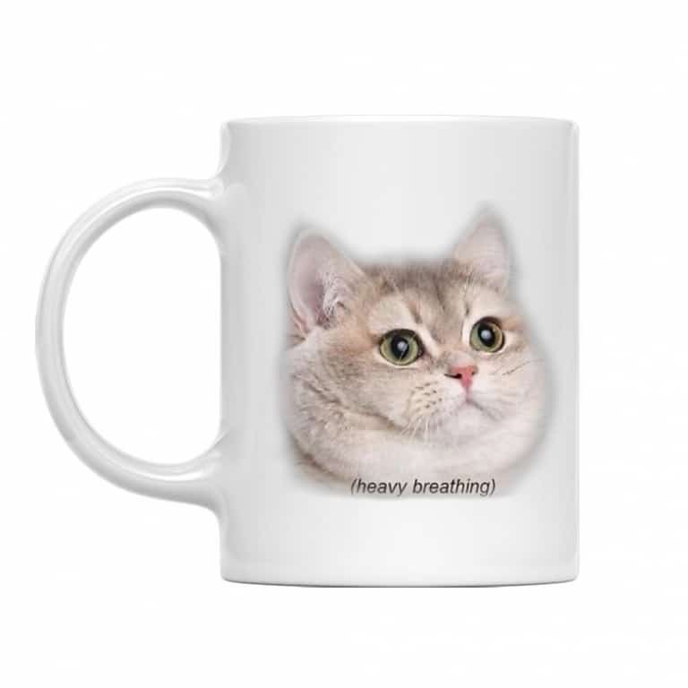 Heavy Breathing Cat