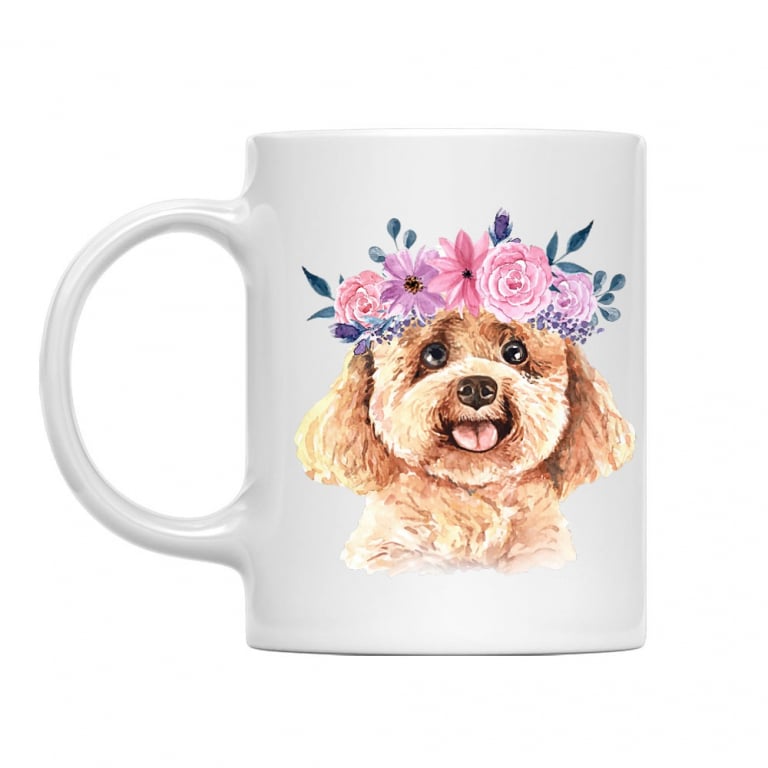 Beauty poodle