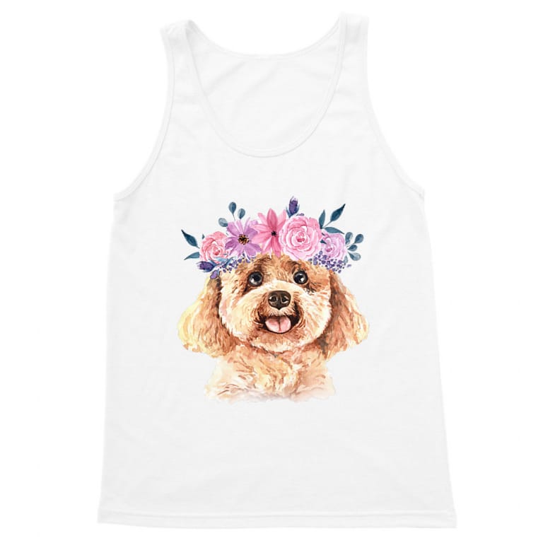 Beauty poodle