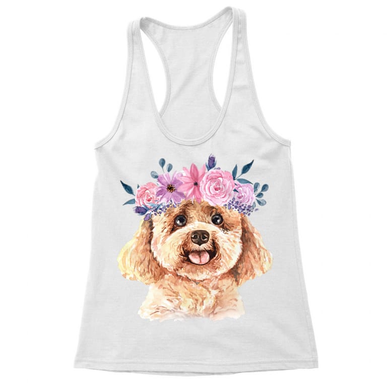 Beauty poodle