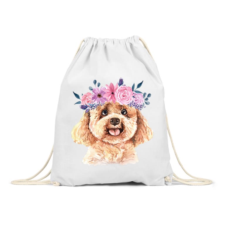 Beauty poodle