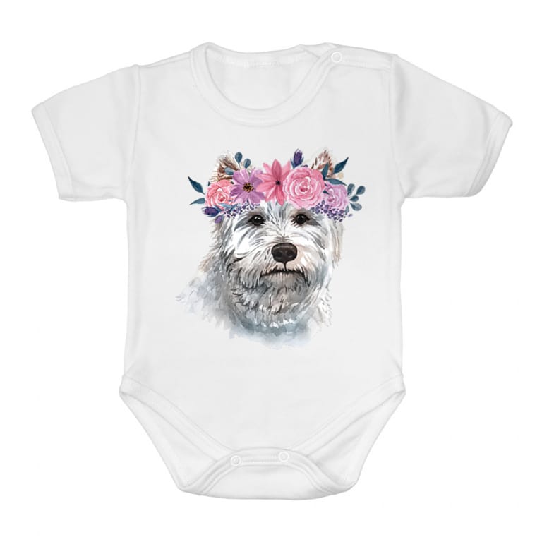 Beauty westie