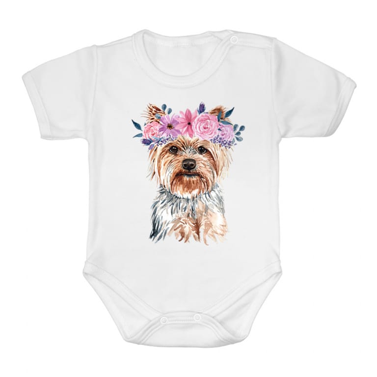 Beauty Yorkie