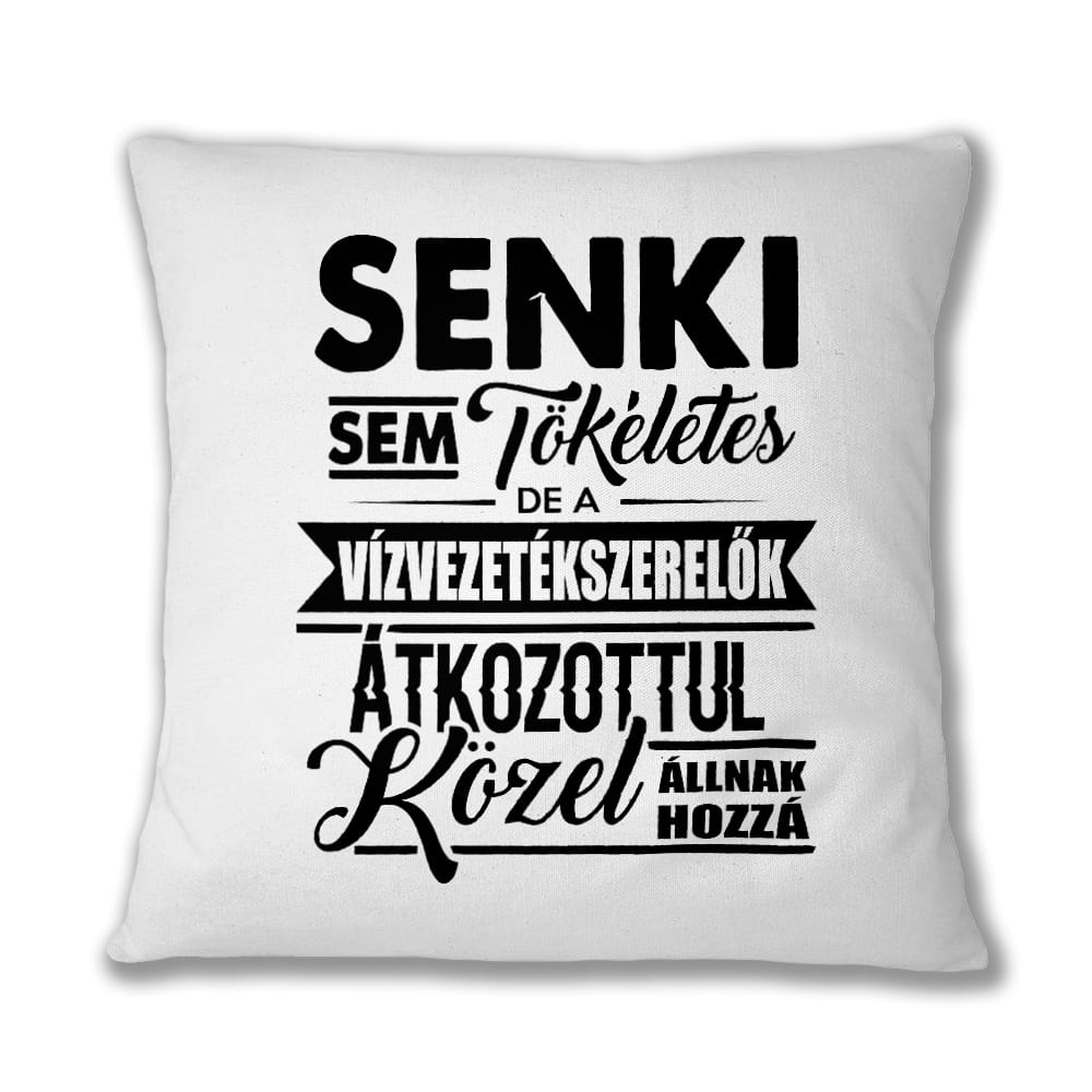Tökéletes vízvezetékszerelő Párnahuzat