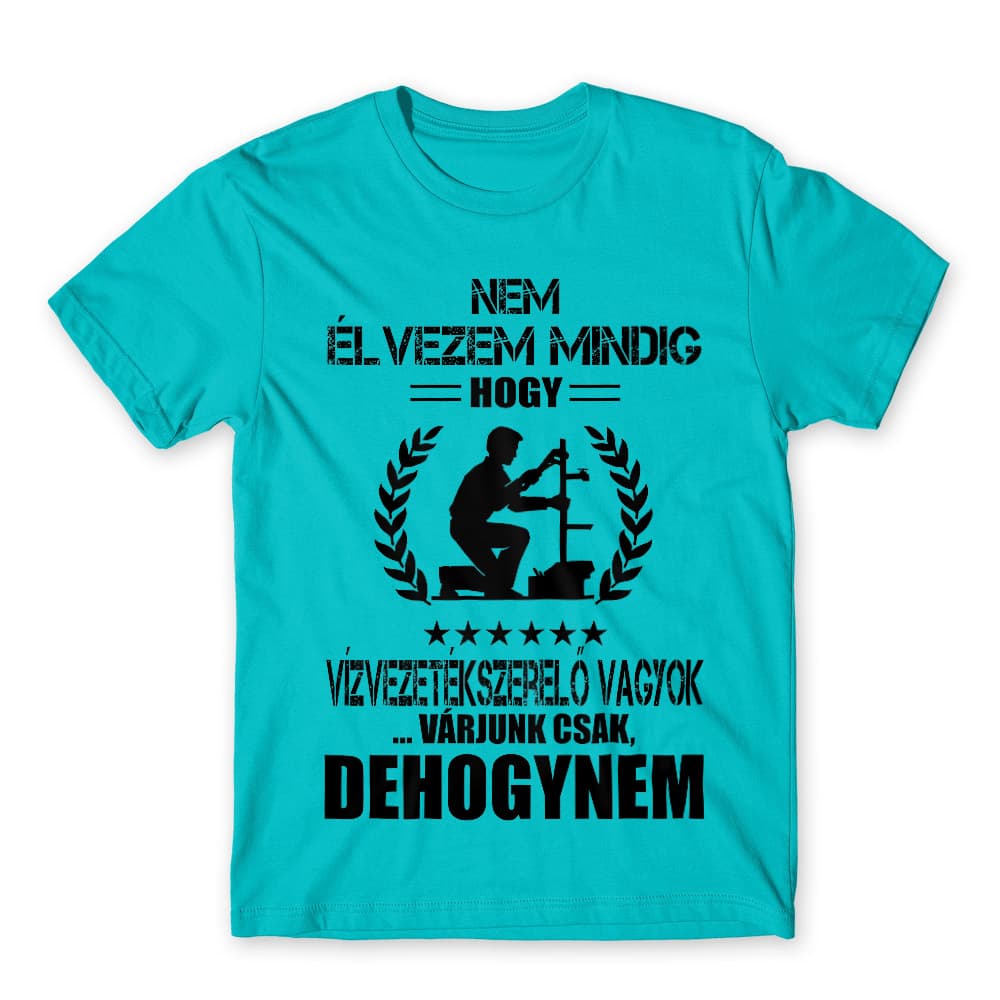 Nem élvezem mindig - vízvezetékszerelő Férfi Póló