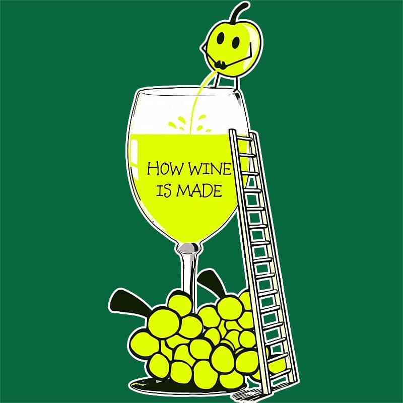 How Wine is Made