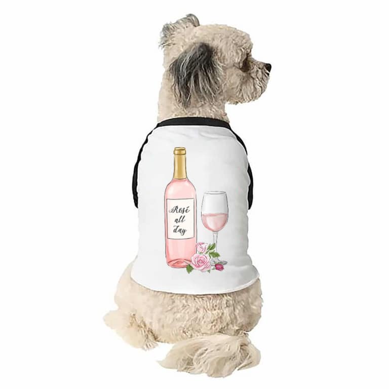 Rosé all day