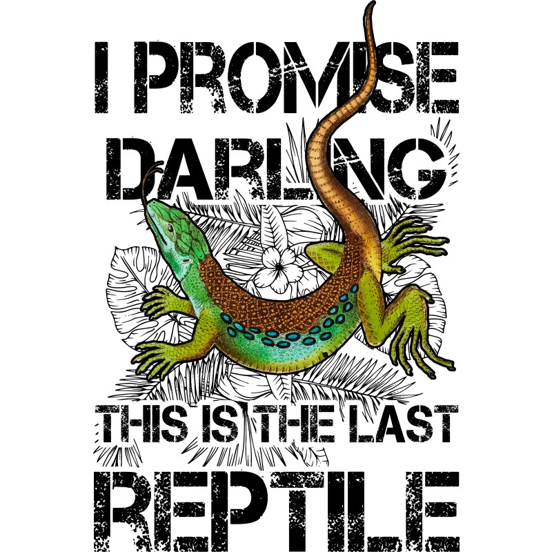 I promise - reptiles