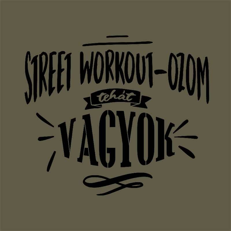 Street Workout-ozom tehát vagyok