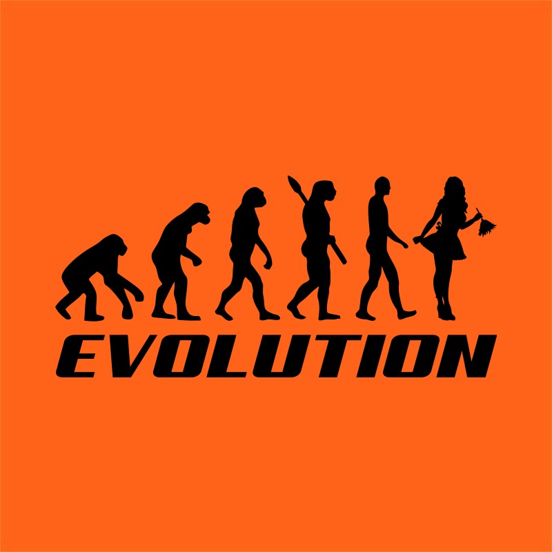 Cleaner Lady Evolution