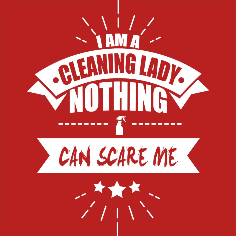 I'm a cleaner lady, nothing can scare me