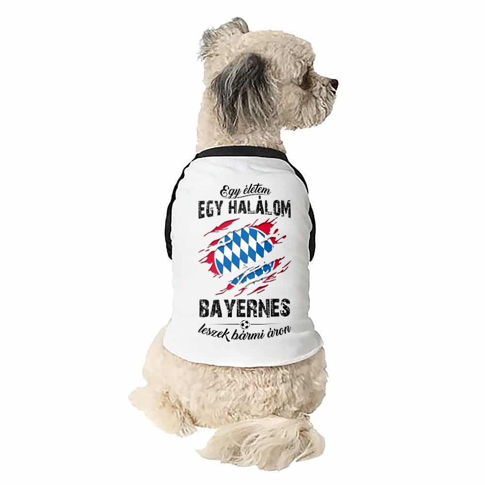 Egy életem egy halálom - Bayern Kutyapóló
