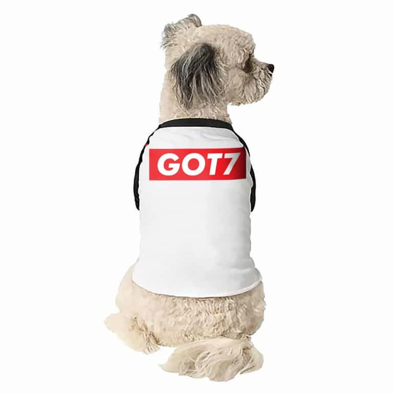GOT7 Supreme