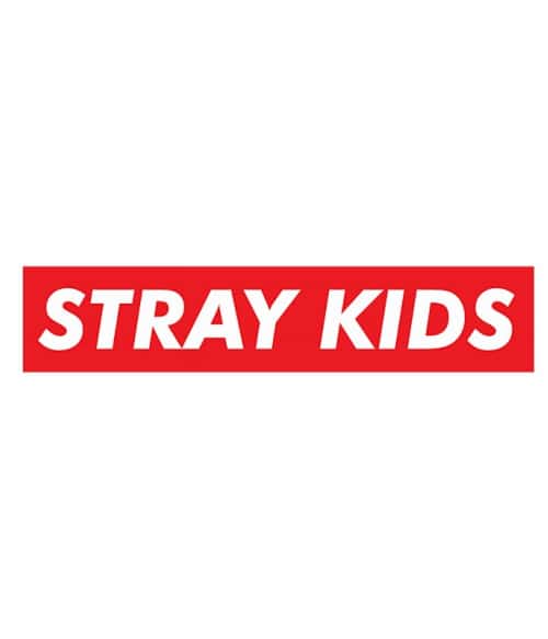 SK Supreme Stray Kids Stray Kids Stray Kids Pólók, Pulóverek, Bögrék - Stray Kids